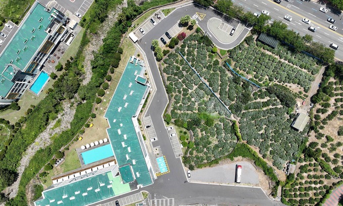 Nohyeong-dong Hotel | Family-Friendly Getaway at JEJU Shangrila Hotel & Resort