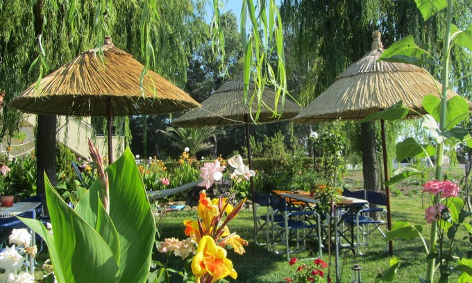 Skala Kallonis House | Oceanfront Shine Studios: Guest Rated 9.8 with Free Breakfast