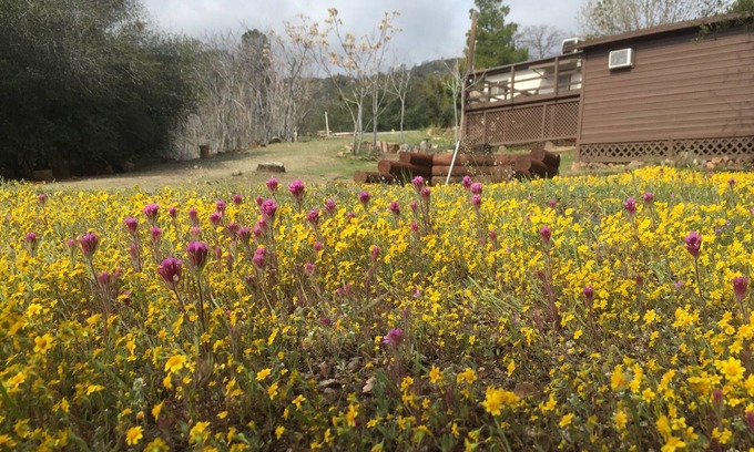 Wofford Heights Cabin | Discover Shirley Creek Mountain Oasis with Spa & Breakfast!