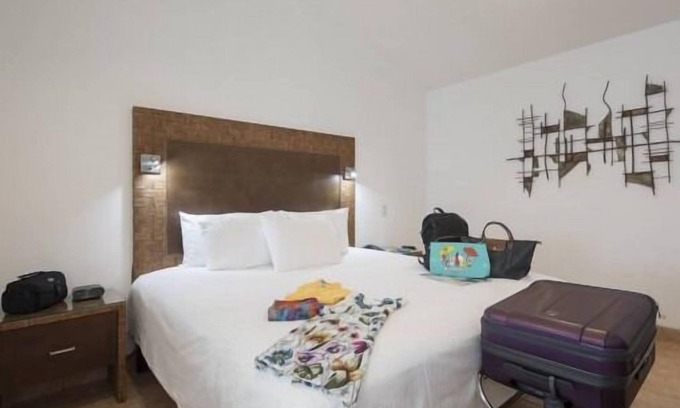 San Jose Hotel | Convenient Access to Attractions with Pet-Friendly Perks!