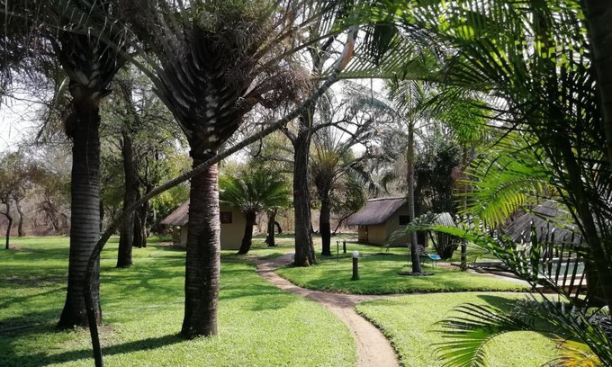 Hoedspruit Cabin | Explore Shumba Safaris Bush Camp with Pool & Family Fun