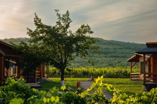 Buzau Resort | Shurra: Family-Friendly Retreat with Pool & Restaurant