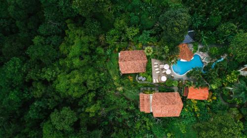 Manuel Antonio Resort | Explore Si Como No Resort & Wildlife Refuge: 4-Star Paradise