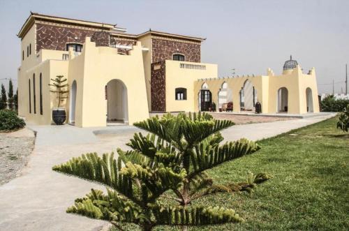 Sidi Kaouki Hotel | Enjoy Ocean Views at Sidi Kaouki Ayt Karoum Hotel
