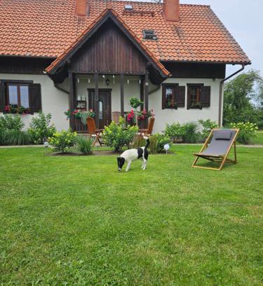 Nowy Dwor Gdanski Villa | Family-Friendly Siedlisko w Starym Sadzie Retreat
