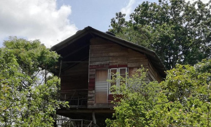 Sigiriya Resort | Budget-Friendly Family Retreat at Sigiri Forest View
