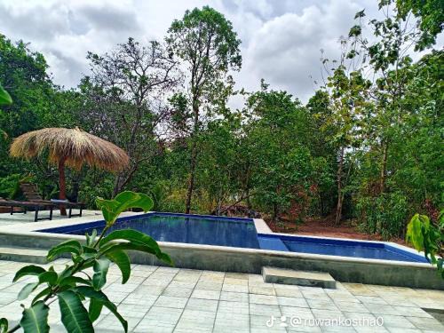 Sigiriya Resort | Experience Sigiri Mango Garden Resort: Pet-Friendly Retreat