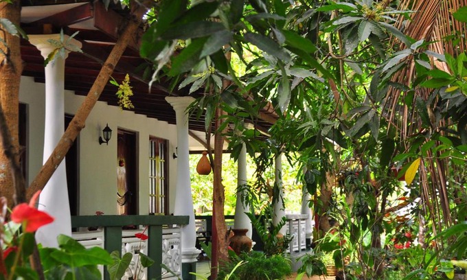 Sigiriya House | Unforgettable Stay at Sigiri Rock Side Home with Breakfast