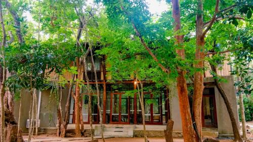 Kimbissa Villa | Discover Sigiriya Elephant Villa: Oceanfront Bliss Awaits