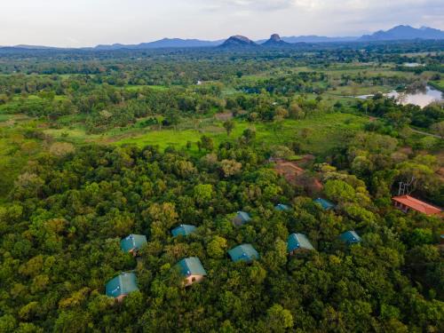 Dambulla Resort | Discover Sigiriya Forest Edge: 5-Star Oceanfront Retreat