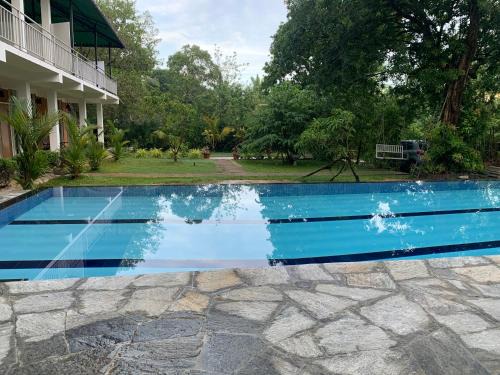 Sigiriya House | Experience Pet-Friendly Bliss at Sigiriya Rock Hide