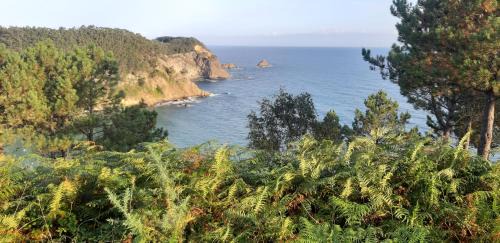 San Pedro de la Ribera Apartment | Oceanfront Casa y Parcela: Rated 9.7/10 by Guests
