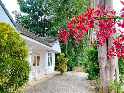 Tha Kham House | Discover Silpasom ARTstay: Child-Friendly Escape