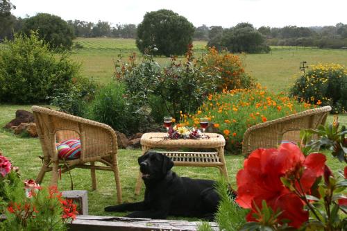 Metricup Cabin | Explore Silversprings Cottages with Hot Tub & Pet-Friendly Stay