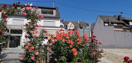 Krov Apartment | Discover Family-Friendly Comfort at Silvia Hüls Hotel
