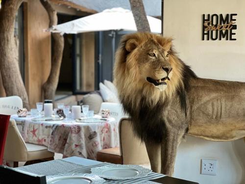 Lephalale Bed & Breakfast | Discover Simba Safaris African Pride Lodge with Ocean Views