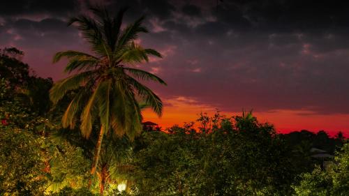 Nalagasdeniya House | Family-Friendly Simon's Lodge Hikkaduwa - Rated 9/10!