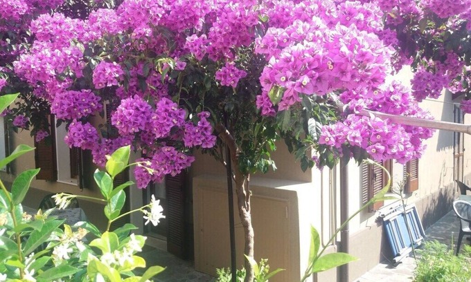 San Benedetto di Lugana Apartment | Relaxation Awaits at Simone and Simona Apartment, Lake Garda