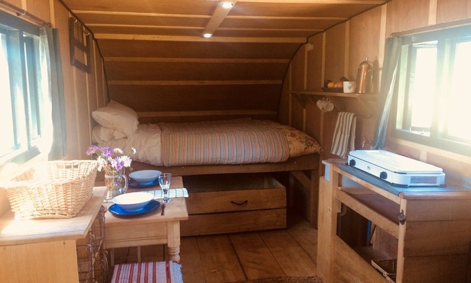 Bridport Cabin | Idyllic Oceanfront Cabin with Scenic Views and Local Access