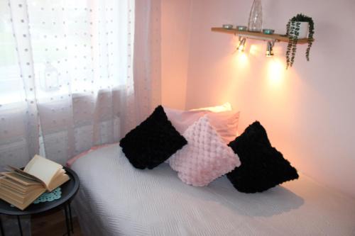 Parnu Apartment | Cozy Small Studio for Your Next Budget-Friendly Getaway