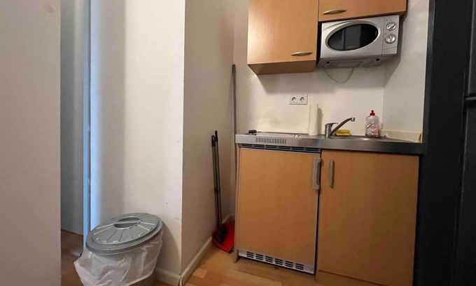 Karlsruhe City Centre Apartment | Cozy Simplex Apartments am Ludwigsplatz with Great Amenities
