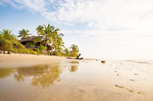 Tanga Other | Experience Simply Saadani Camp: Tent with Ocean Views