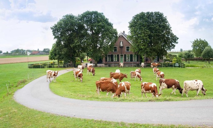 Nieuwveen Apartment | Experience Comfort at Sint Nicolaashoeve: 4-Star Delight