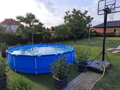 Morahalom House | Discover Sissy Vendégház: Pet-Friendly Oceanfront Escape