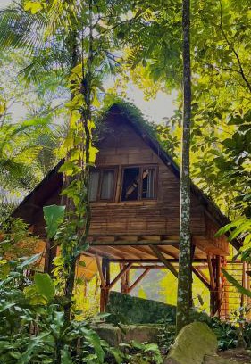 Itamambuca Bed & Breakfast | Relax at Sitio Simple Life: Pet-Friendly Retreat with Spa