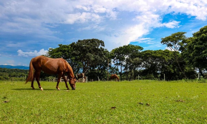Altinopolis House | Discover Sitio SMC: Pet-Friendly Haven Near Altinópolis