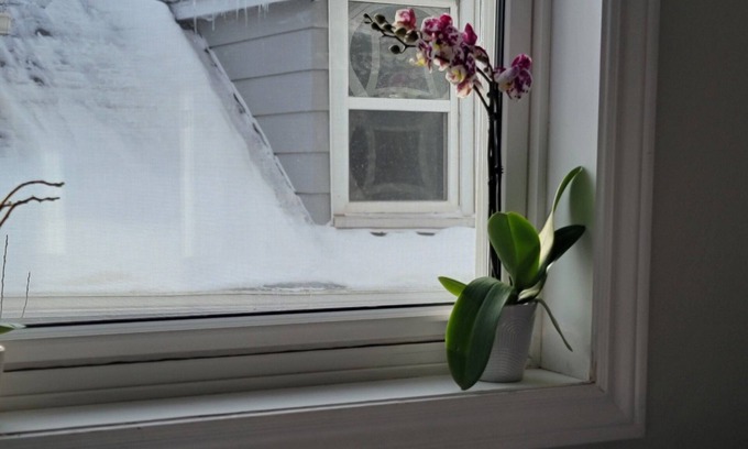 Moncton Bed & Breakfast | Sitrang's Place