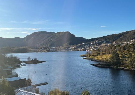 Tertnes Apartment | Sjøutsikt
