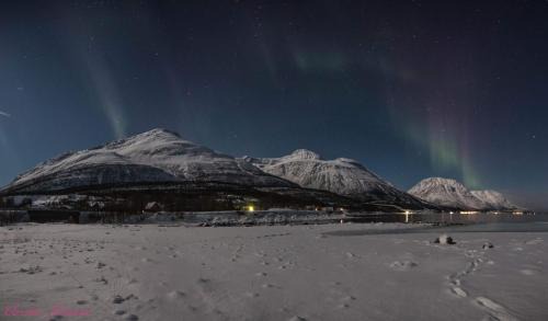 Tromso Apartment | Discover Sjursnes Fjordferie: Family-Friendly Retreat