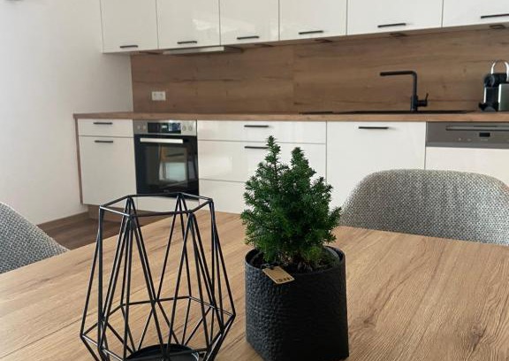 Altenmarkt im Pongau Apartment | Family-Friendly Ski & Bike Appartements - Guest Rated 9.7