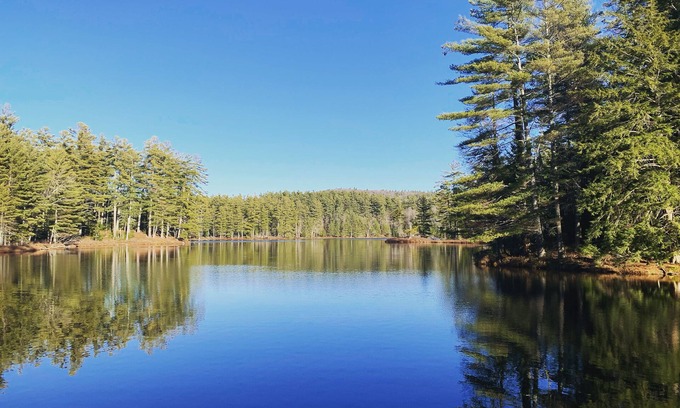 Londonderry Cottage | Experience Lake & Ski Carriage Home Near Southern Vermont