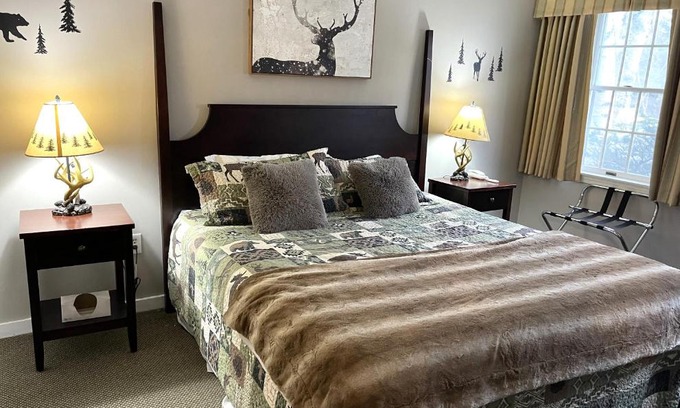 Hancock Apartment | Cozy 1BR Ski On Off Suite at Jiminy Peak, Sleeps 4
