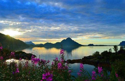 Oksnes Cabin | Discover Skjellbogen Hyttegrend with Oceanfront Views