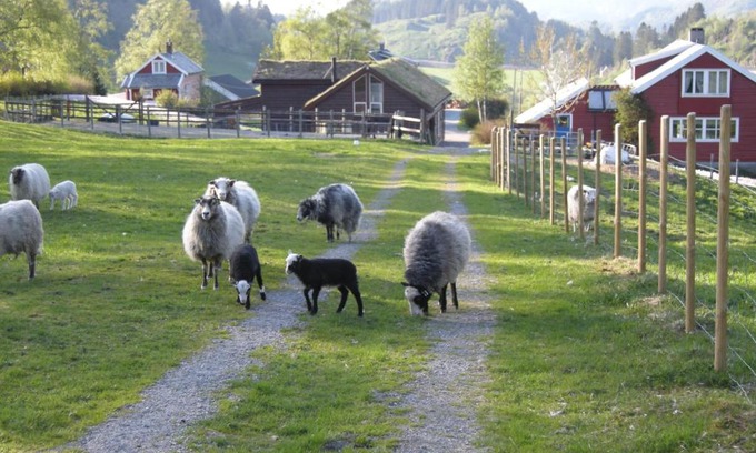 Osteroy House | Family-Friendly Skjerping Gård with Kitchen & 10/10 Rating