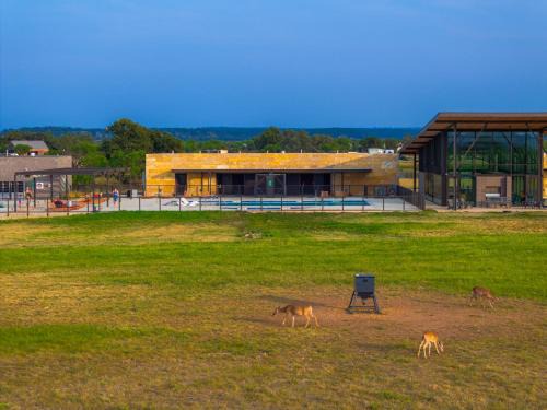 Fredericksburg Resort | Pet-Friendly SKYE Texas Hill Country Resort with Hot Tub