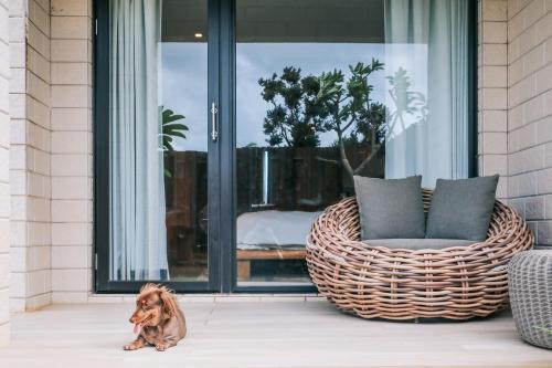 White Sand Beach House | Discover SkyeBay Club - Silver Pavilion with Pet-Friendly Amenities