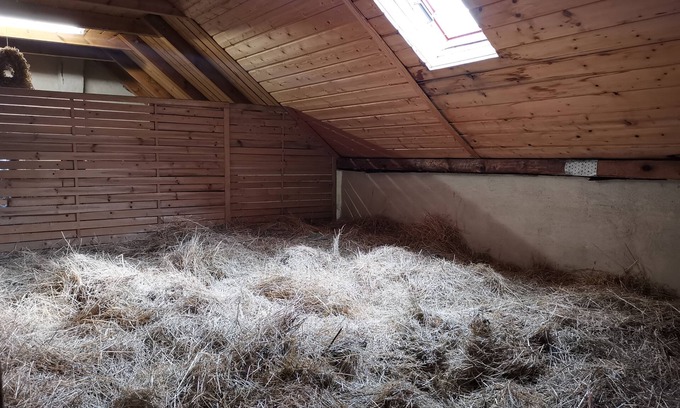 Lauta House | Unique Stay in Hay Beds at Ferienhof Sarodnick