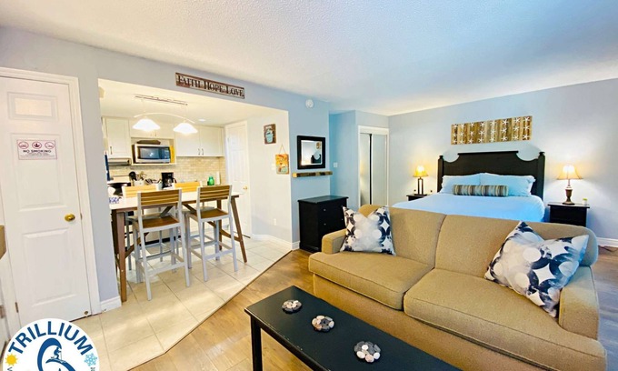 Craigleith Condo | Exceptional Slopeside Condo with Pool, Spa & Ski In/Out