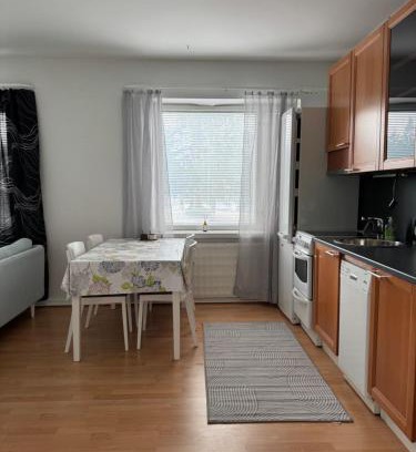 Enonkoski Apartment | Small budget traveler's two-room apartment