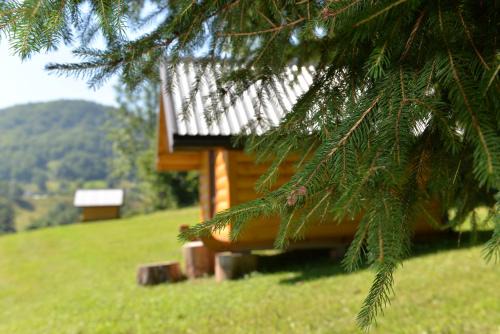 Montenegro Apartment | Cozy Bungalow for Families - Guest Rated 9/10