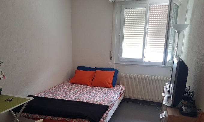 Plainpalais Apartment | Cozy Studio Near Geneva Center with Lake Views & Breakfast