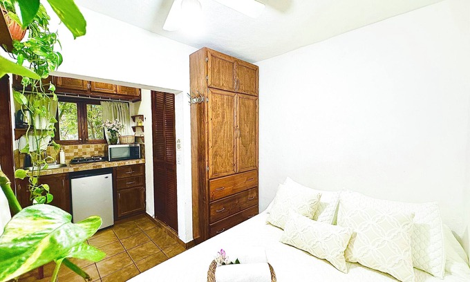 Ildefonso Green Apartment | Small Studio but complete studio with beautiful garden downtown Cabo San Lucas