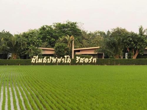 Manorom Resort | Pet-Friendly Smile Buffalo Resort for Families and Friends