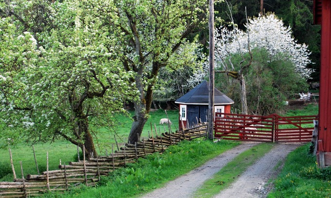 Gamleby House | Pet-Friendly Getaway at Smultronboda Fårgård - Rated 9.6