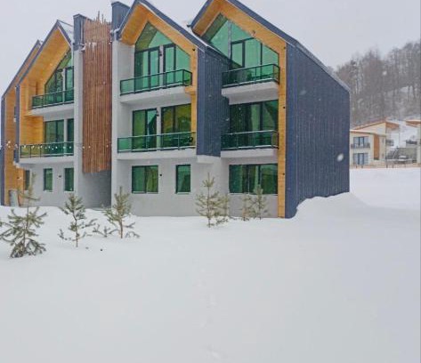 Bakuriani Apartment | Guest Rated: Snow Forest Bakuriani Apartment for Families