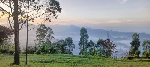 Lembang Other | Discover Snow Princess Mountain Glamping Resort in Lembang